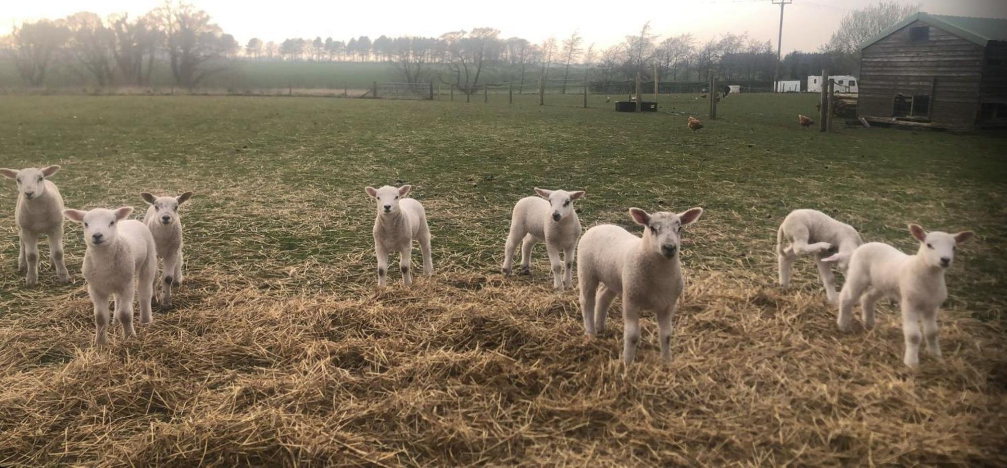 The Farm Burscough Villa Ngoại thất bức ảnh